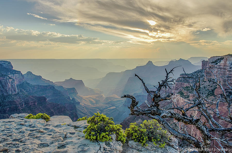 Light seeks the depths of Grand Canyon Photograph by Gaelyn Olmsted