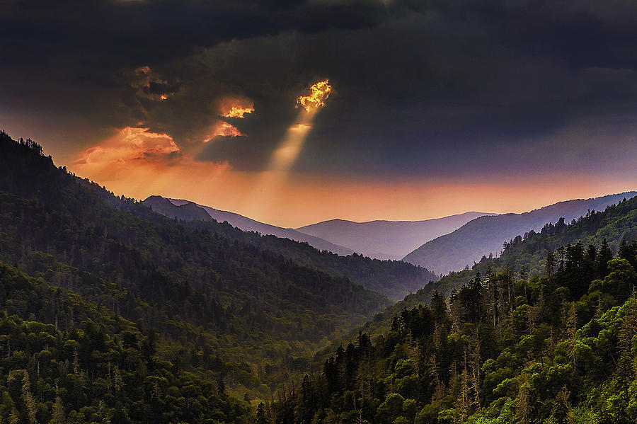 Light Shafts In The Smokies Photograph