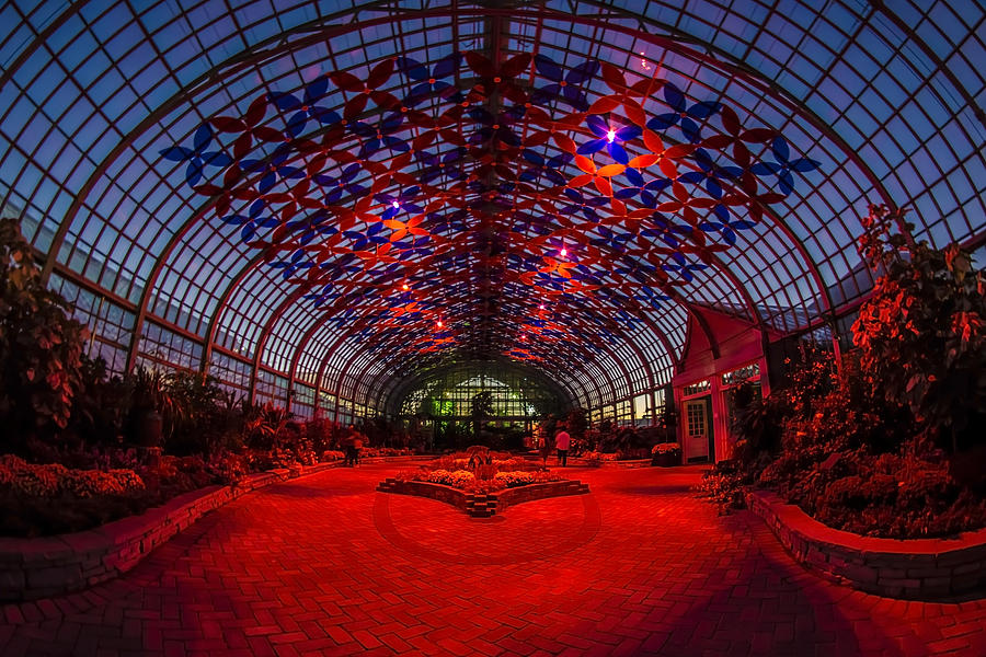 Light Show At The Conservatory Photograph by Sven Brogren