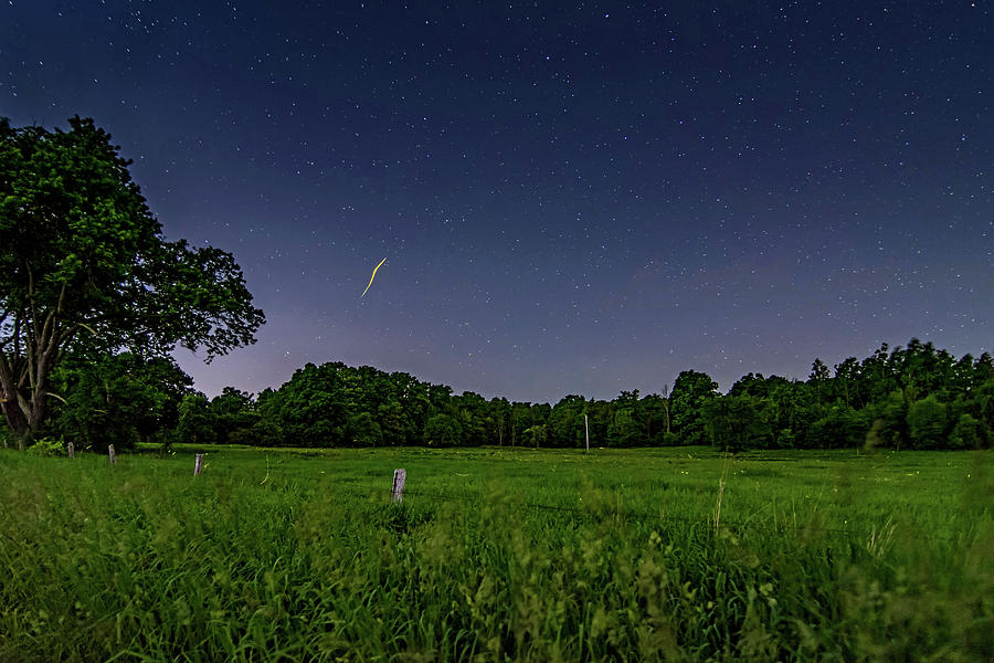 Light Show - Fireflies vs The Stars 2 Photograph by Steve Harrington