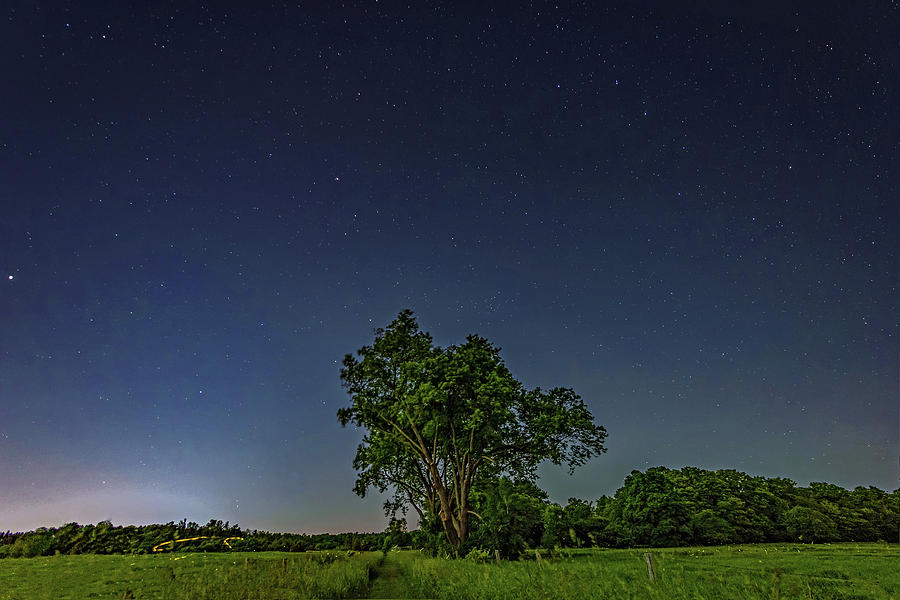 Light Show - Fireflies vs The Stars 3 Photograph by Steve Harrington