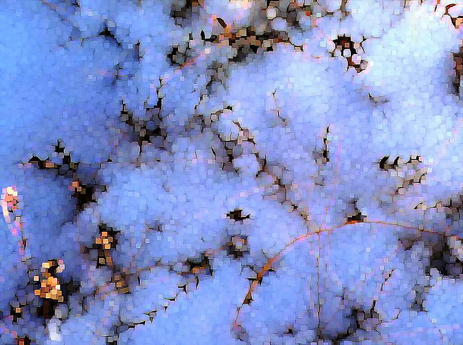 Abstract Digital Art - Light Snow in the Woods by Dave Martsolf Abstract Digital Art - Light Snow in the Woods by Dave Martsolf