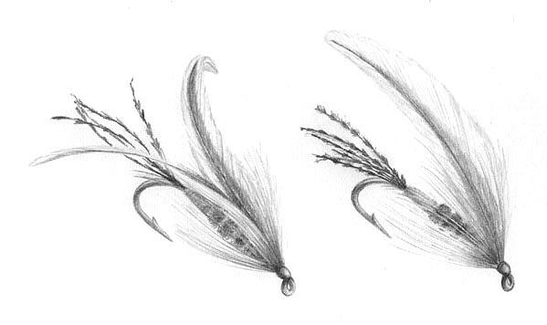 Light Spruce Flies - The Rise Drawing by Marsha Karle