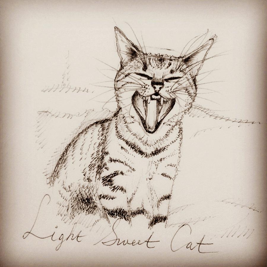 Light Sweet Cat Drawing