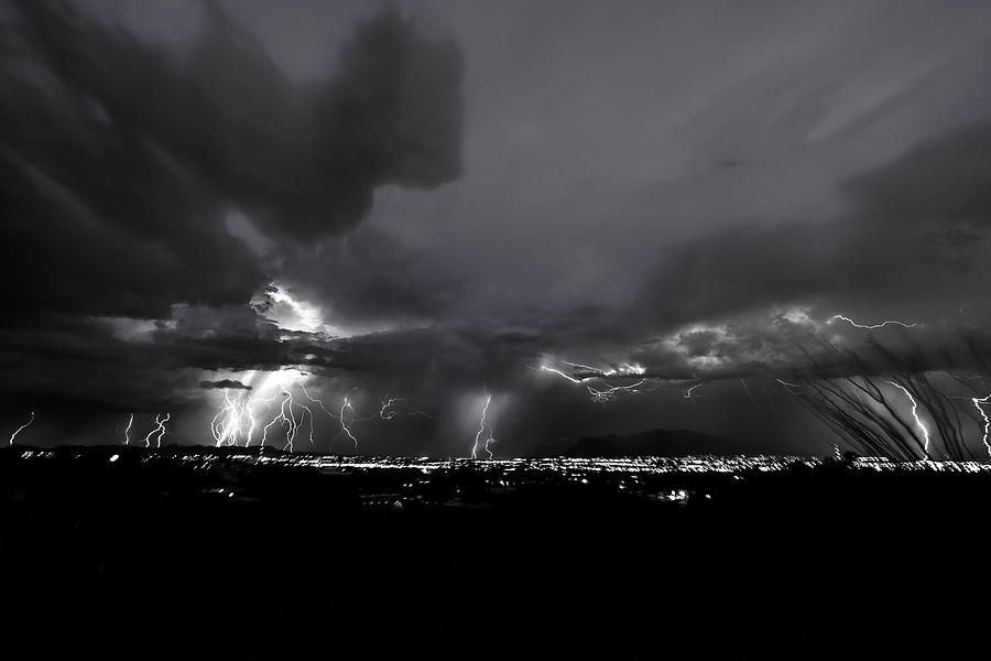 Tucson Photograph - Light the Night by Chris Featherstone