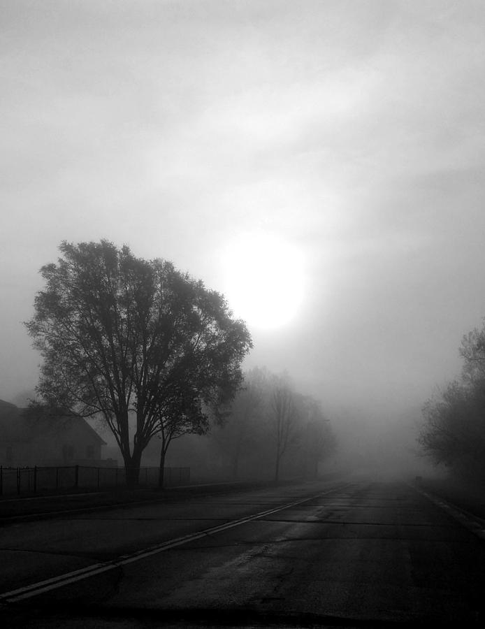 Light Through a Fog Photograph by Corey Habbas