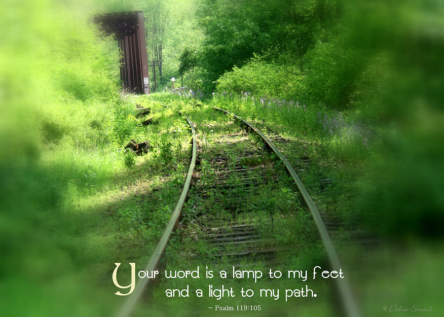 Light to My Path Photograph by Debra Straub