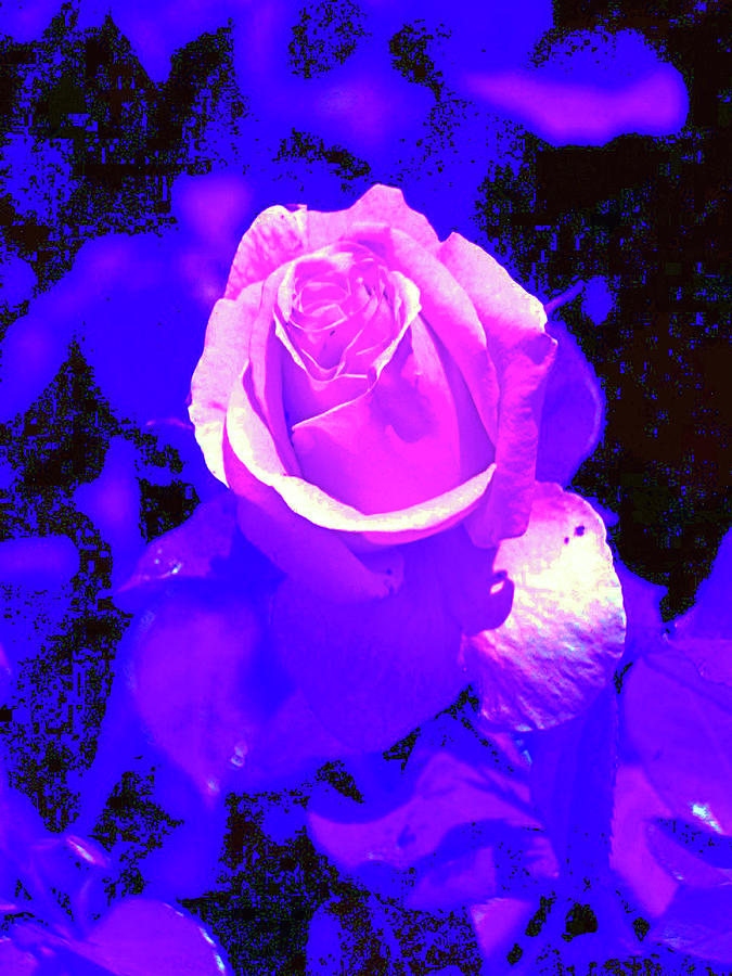 Rose Digital Art - Light trumps Darkness by Joseph Coulombe