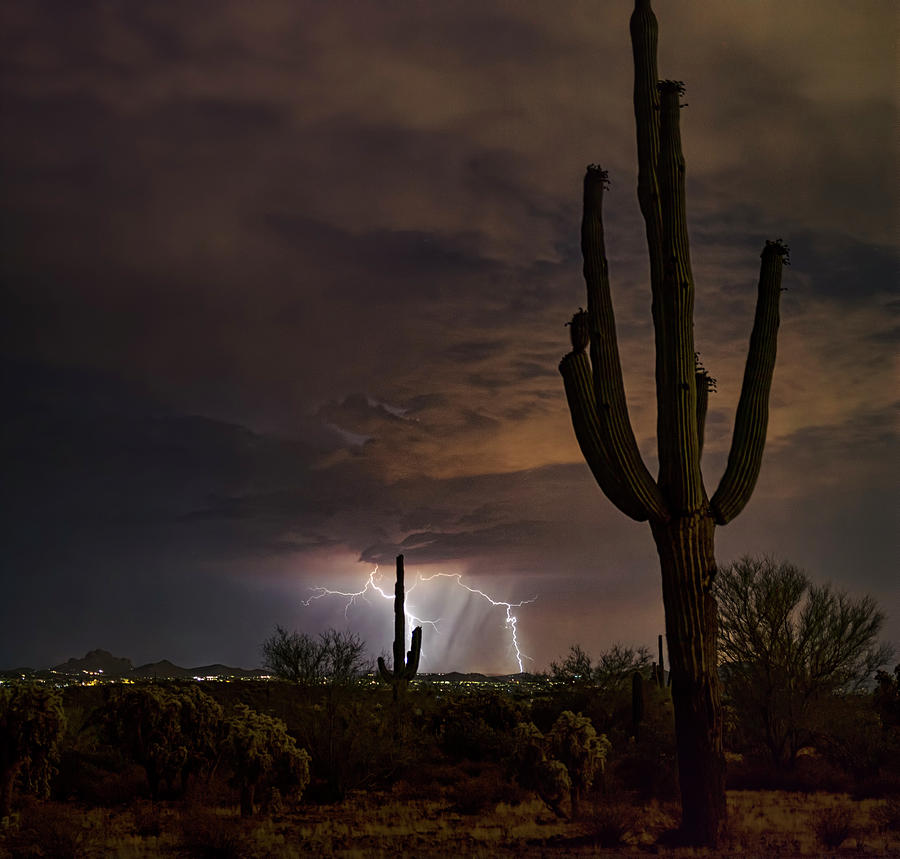 Light Up the Desert Night  Photograph by Saija Lehtonen