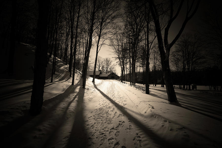 Light VS. Dark Photograph by David Stasiak