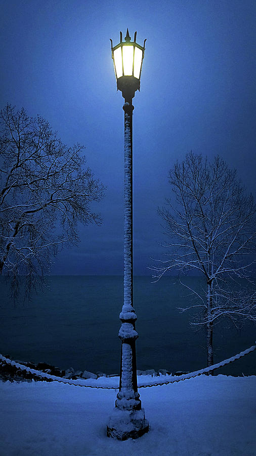 Light Winter Blue Photograph by Phil Koch
