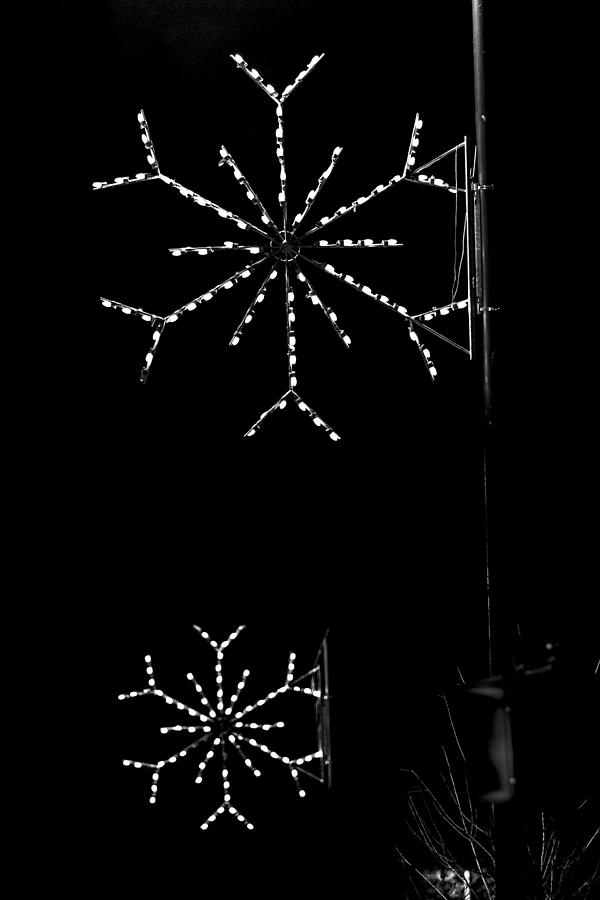 Lighted Snowflakes Along the Avenue Digital Art by John Haldane