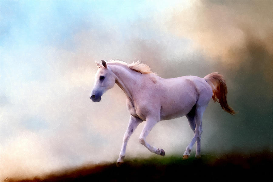 Lightfoot Photograph By Linda Koelbel