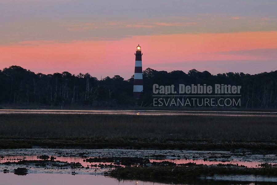 Lighthouse Photograph - Lighthouse 1386 by Captain Debbie Ritter Lighthouse Photograph - Lighthouse 1386 by Captain Debbie Ritter