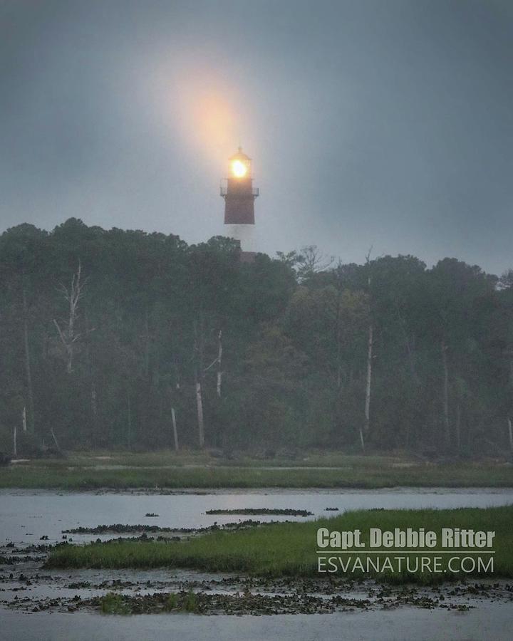Lighthouse Photograph - Lighthouse 7990 by Captain Debbie Ritter Lighthouse Photograph - Lighthouse 7990 by Captain Debbie Ritter