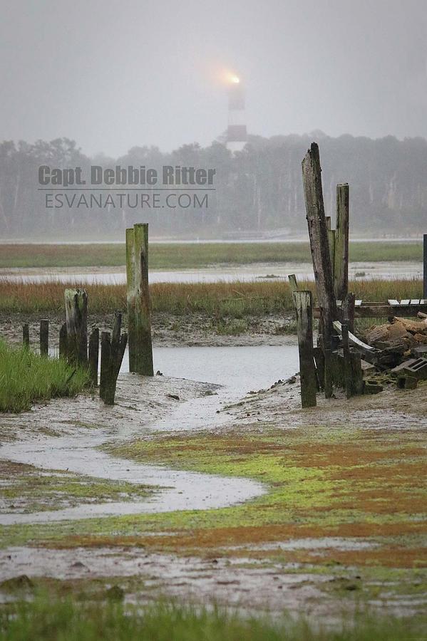 Lighthouse 8718 by Captain Debbie Ritter Lighthouse 8718 by Captain Debbie Ritter
