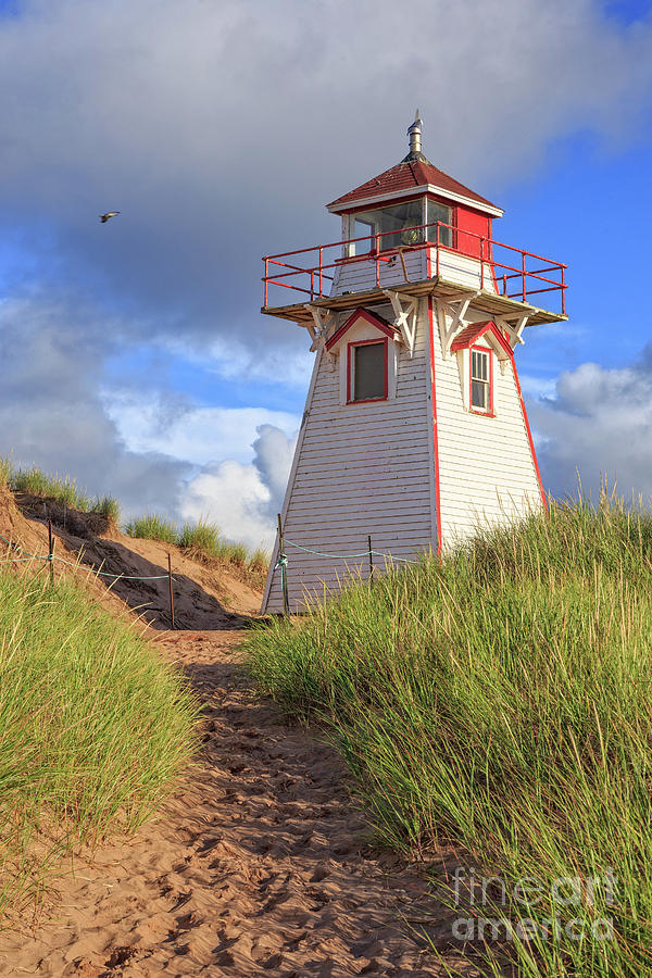 Lighthouse Among the Dunes Photograph by Edward Fielding