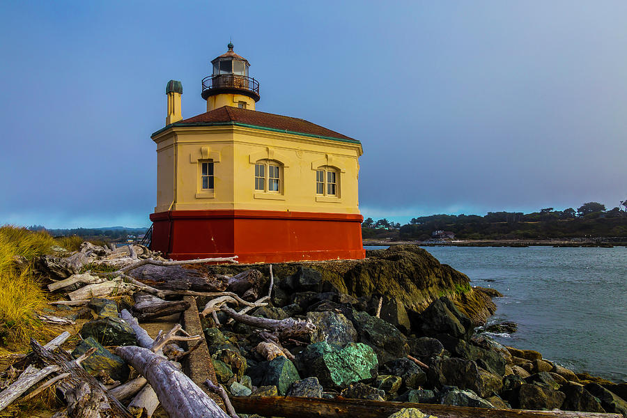 Lighthouse And Driftwood Photograph by Garry Gay