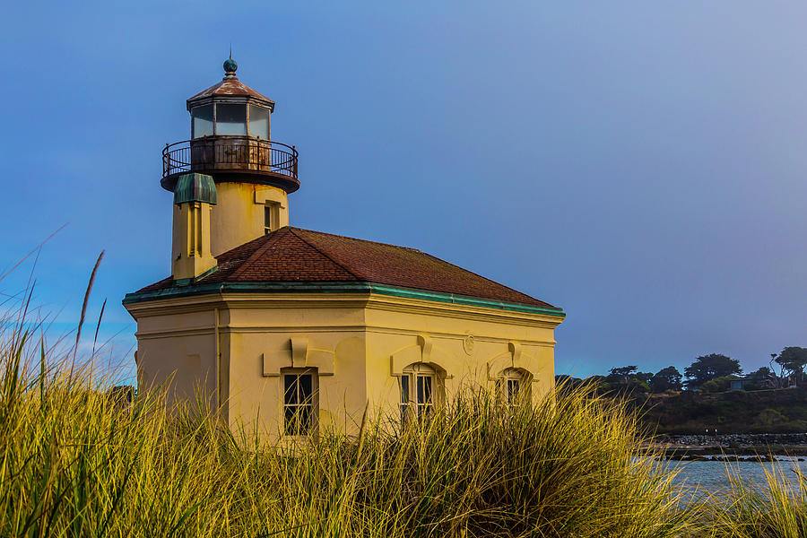 Lighthouse And Dune Grass Photograph by Garry Gay