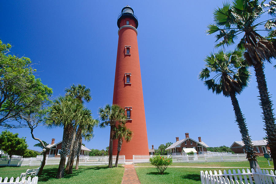 Landmark Photograph - Lighthouse and Palm Trees Ponce Inlet Florida by George Oze