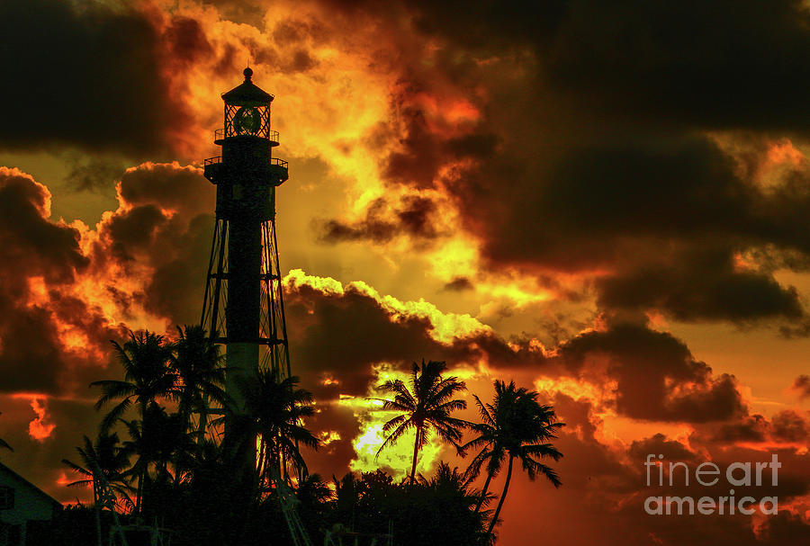 Lighthouse and Palm Trees Photograph by Tom Claud