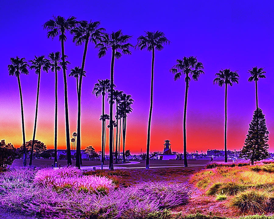 Lighthouse and Palms, Newport Beach, California Photograph by Don Schimmel