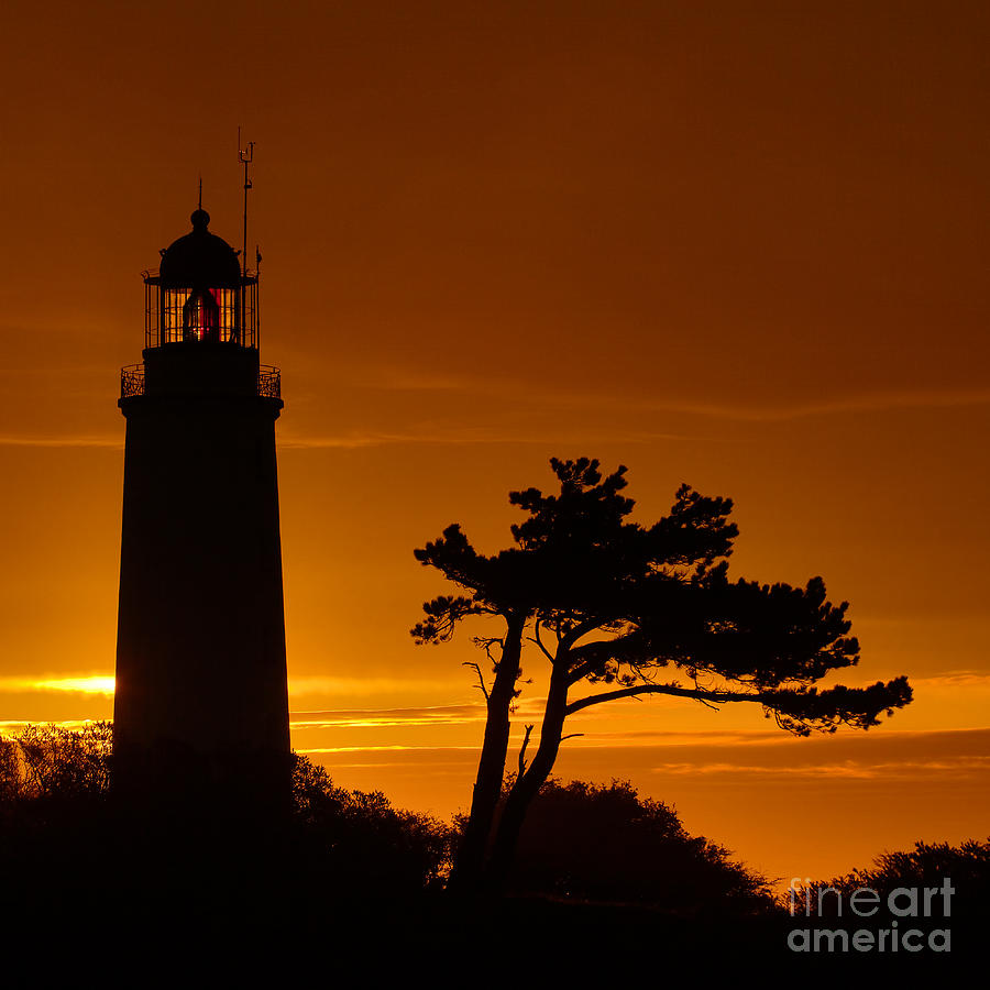 Lighthouse And Pine Tree Photograph by Frank Boellmann - Fine Art America