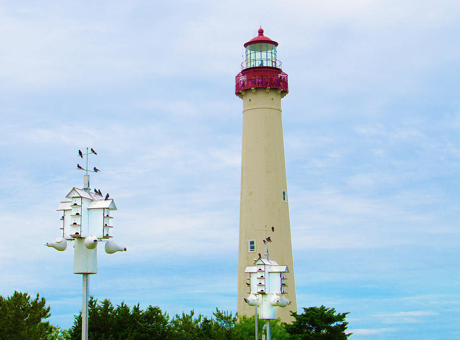 Lighthouse - Birdhouse - Cape May New Jersey Photograph by Bill Cannon