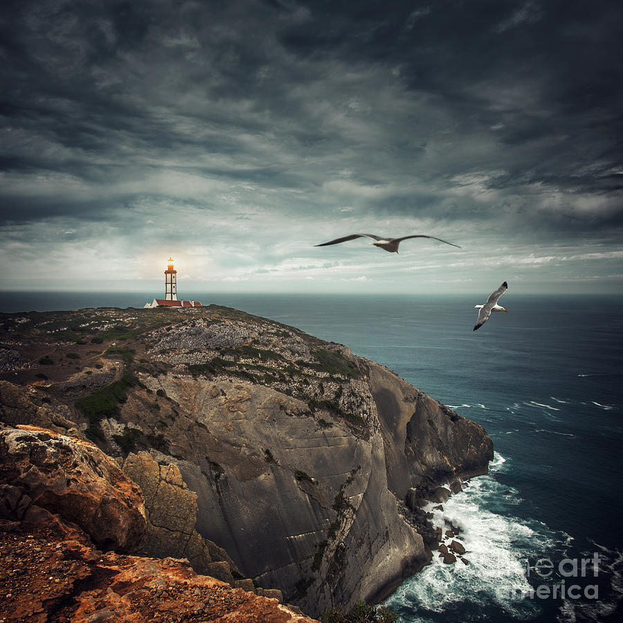 Seagull Photograph - Lighthouse Cliff by Carlos Caetano