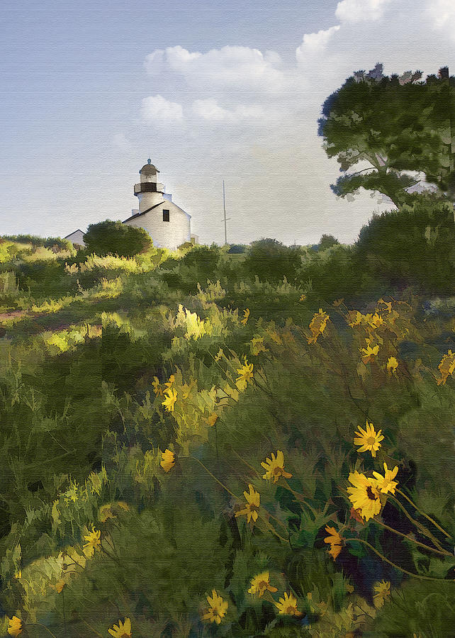 Lighthouse Daisies Digital Art by Sharon Foster
