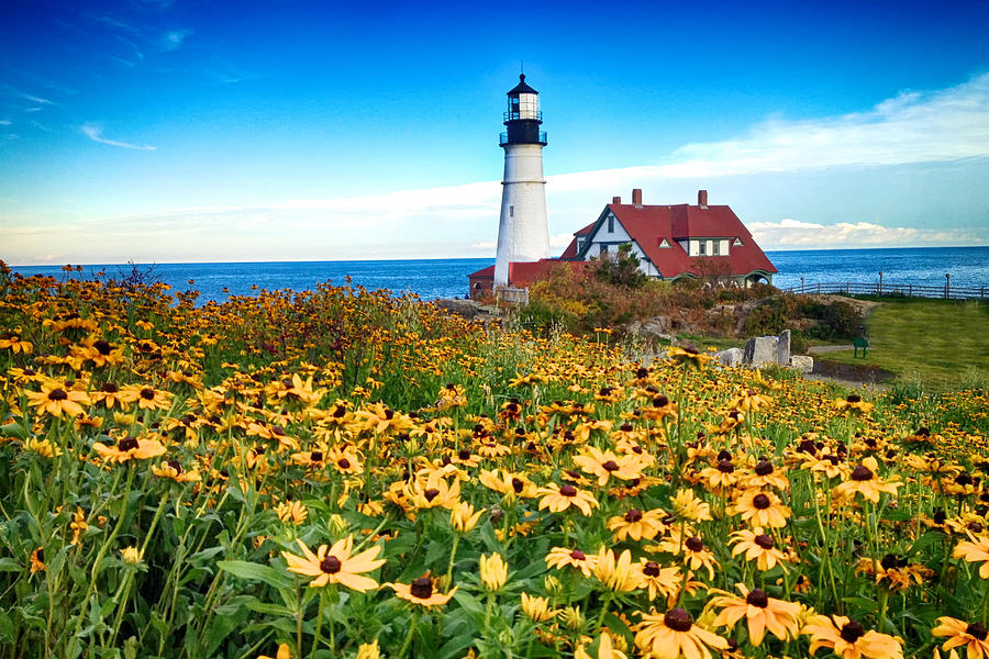 Portland, Maine LightHouse Flowers Photograph by John Daly