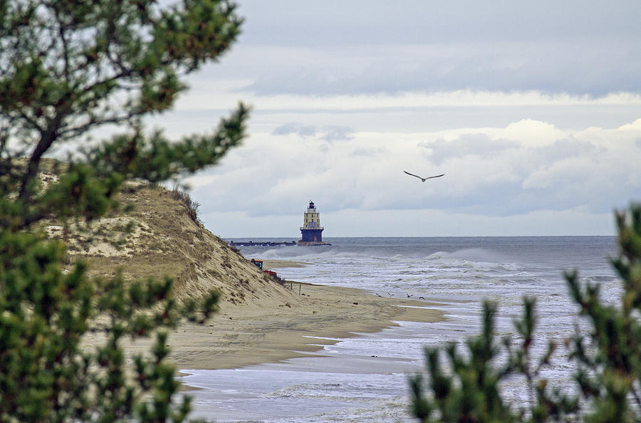 Lighthouse from top of the sand dunes. Photograph by Allan Levin