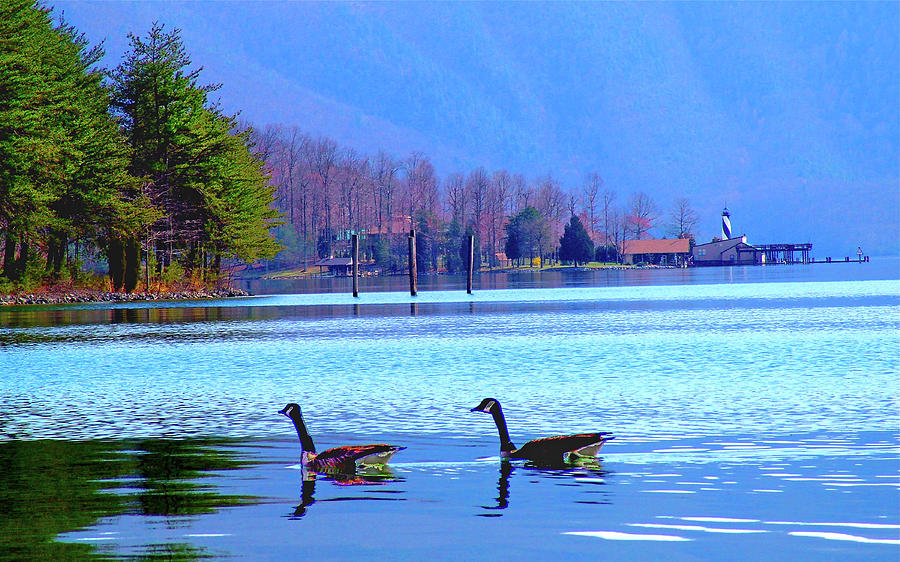 Lighthouse Geese, Smith Mountain Lake Photograph by The James Roney Collection