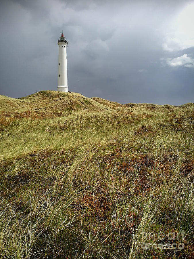 Lighthouse In A Rainstorm Photograph