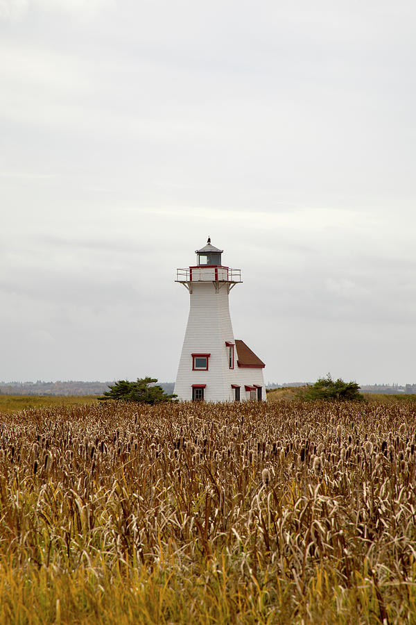 Lighthouse in marshes, Prince Edward Island, Canada Photograph by Karen Foley