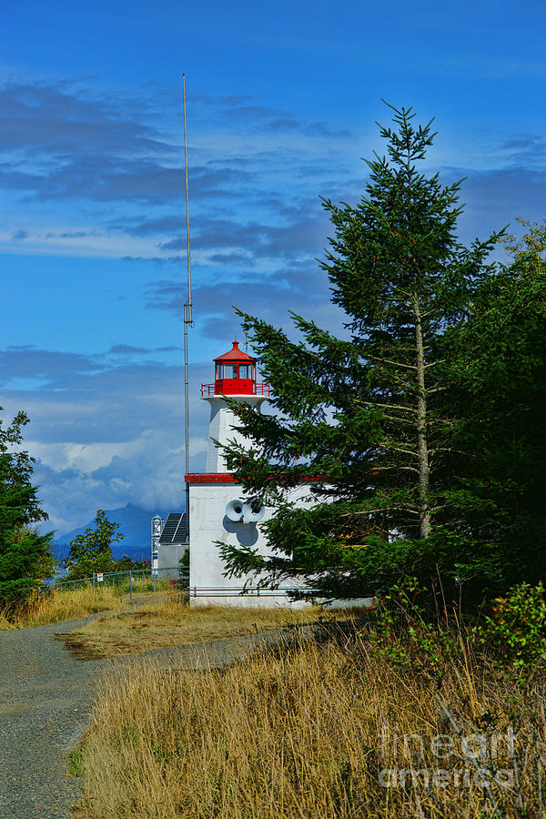 Lighthouse in the Trees Photograph by Randy Harris