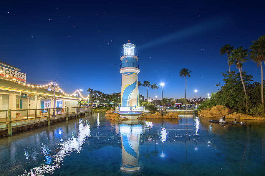 Lighthouse Lagoon at Seaworld Orlando Photograph by Mark Andrew Thomas