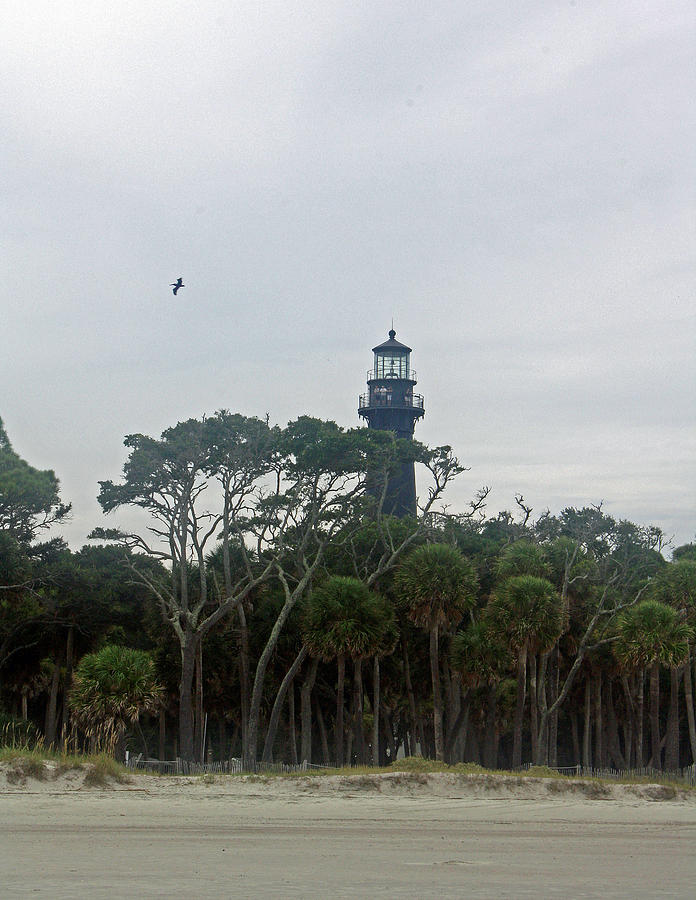 Lighthouse on Hunting Island Photograph by Ellen Tully