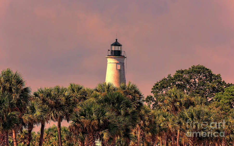 Lighthouse On The Bay - Saint Marks, Florida Photograph by DB Hayes