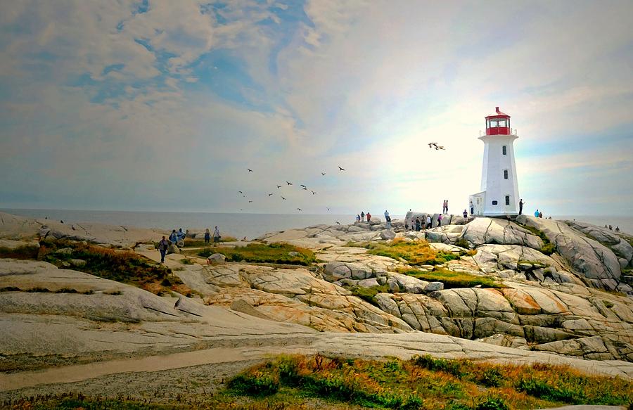 Lighthouse on the Cove Photograph by Diana Angstadt