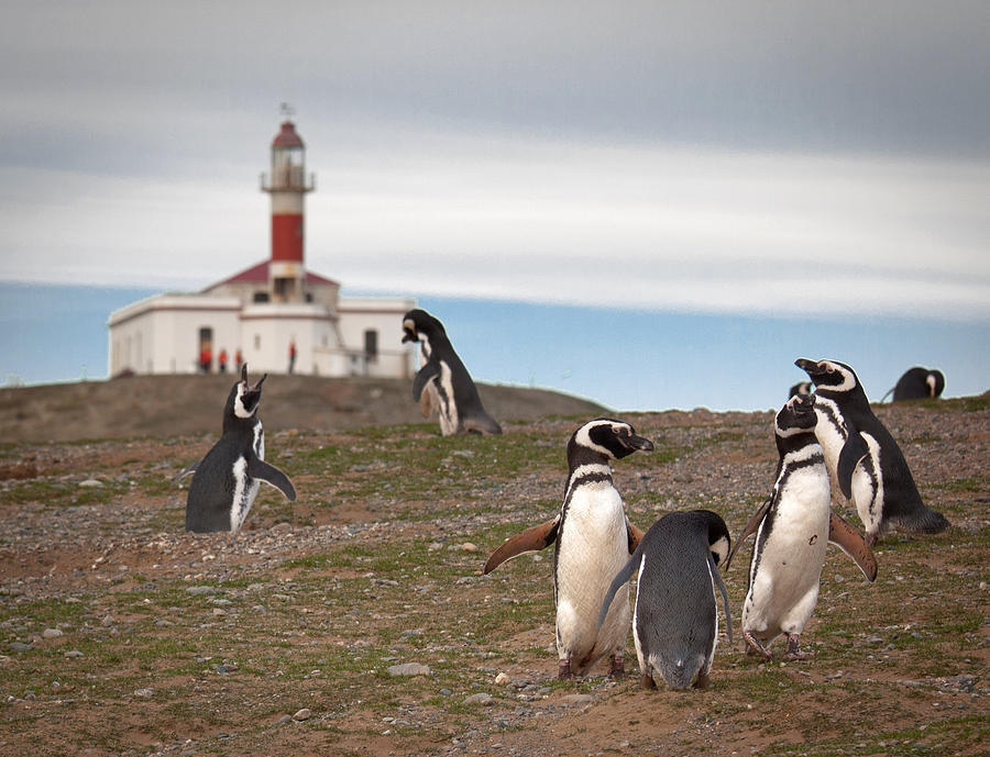 to the lighthouse penguin classics to the lighthouse penguin classics