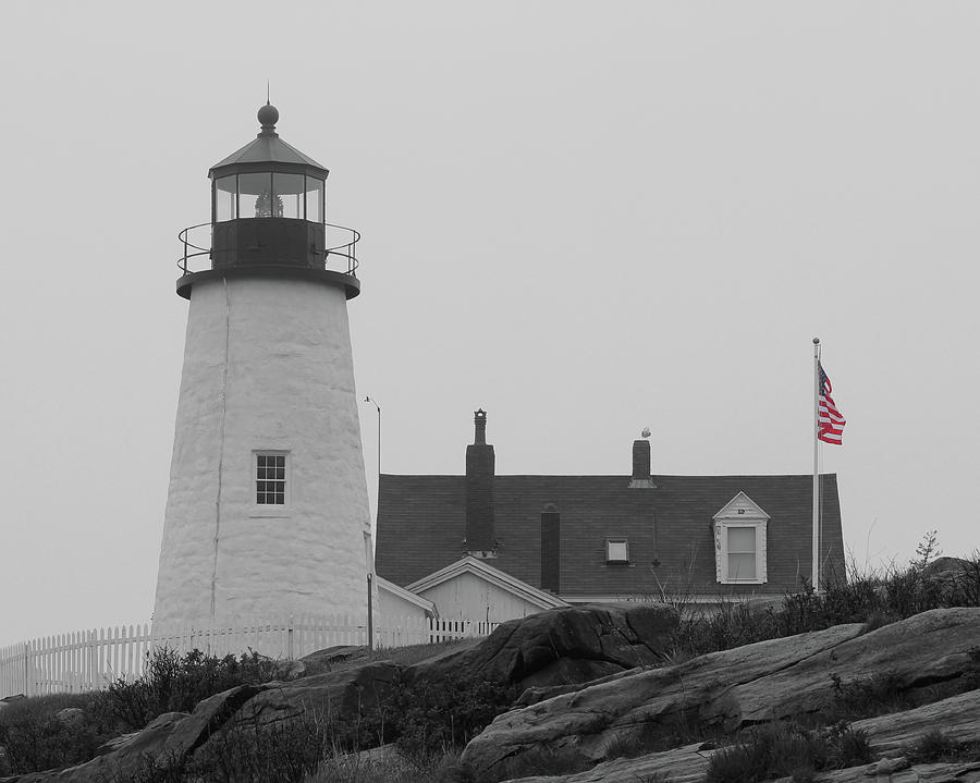 Lighthouse - Reverse Black And White Photograph By Lee Hart