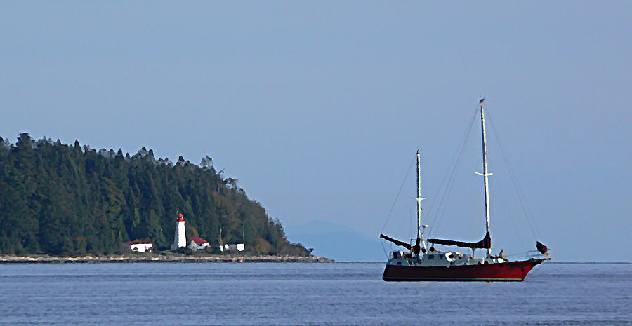 Tree Photograph - Lighthouse Sailing Vancouver Island BC by Barbara St Jean