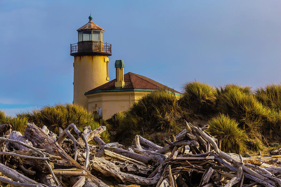 Lighthouse With Driftwood Photograph by Garry Gay