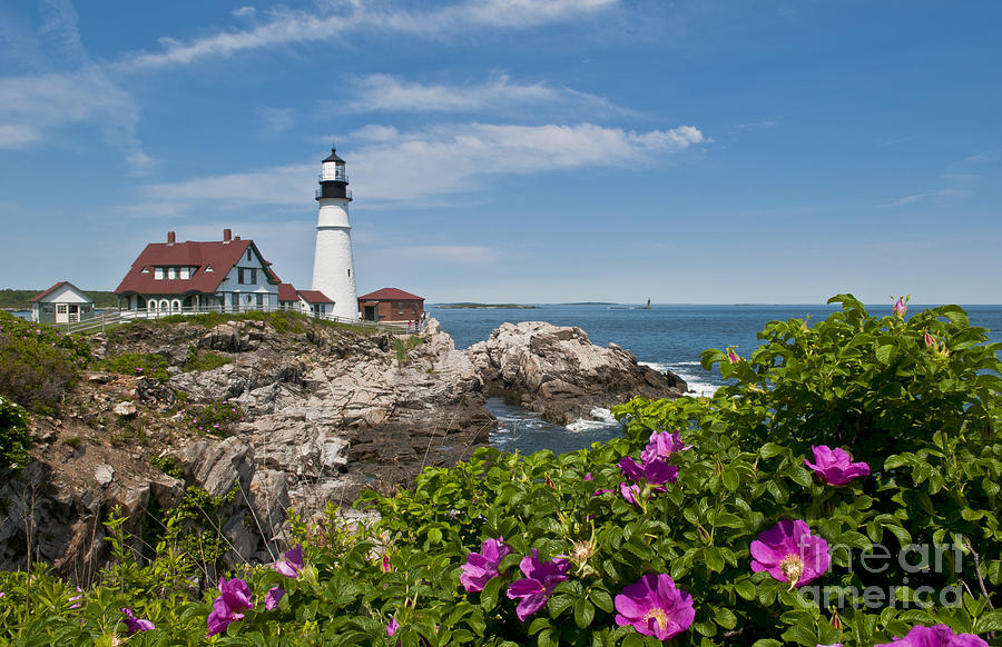 Lighthouse with Rocks on Shore Photograph by Bill Bachmann and Photo Researchers