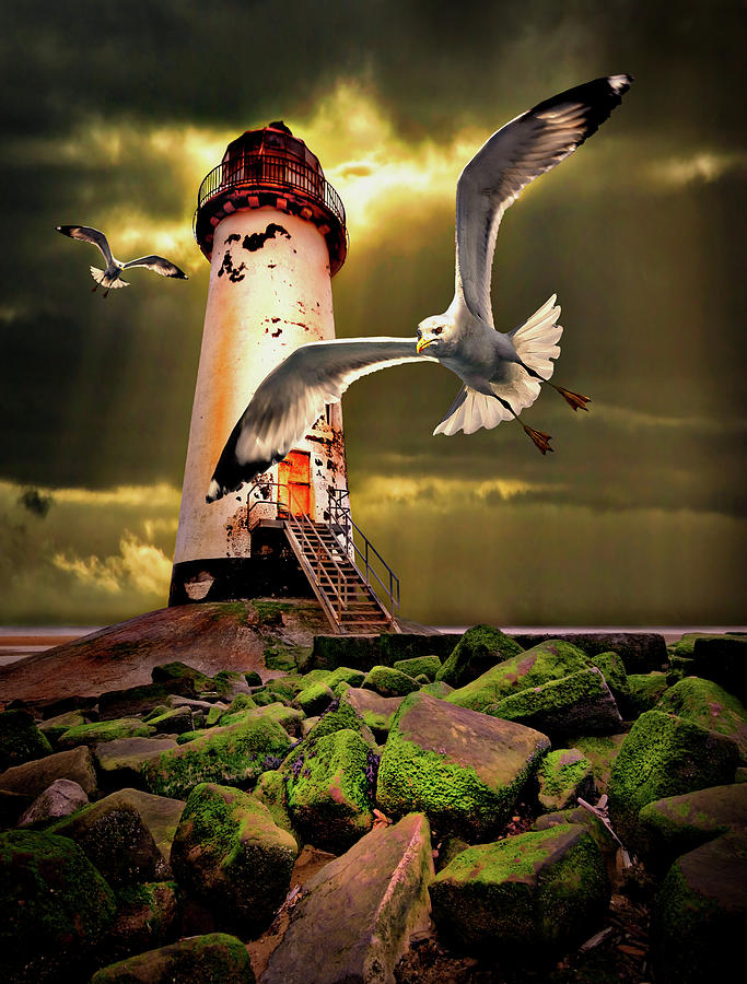 Seagull Photograph - Lighthouse With Seagulls by Meirion Matthias