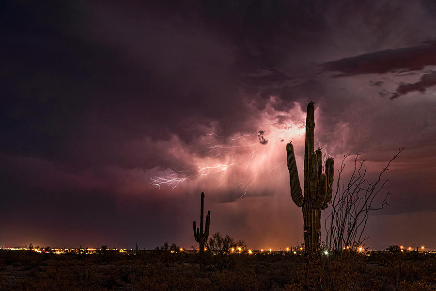 Lighting Up The Desert Night  Photograph by Saija Lehtonen
