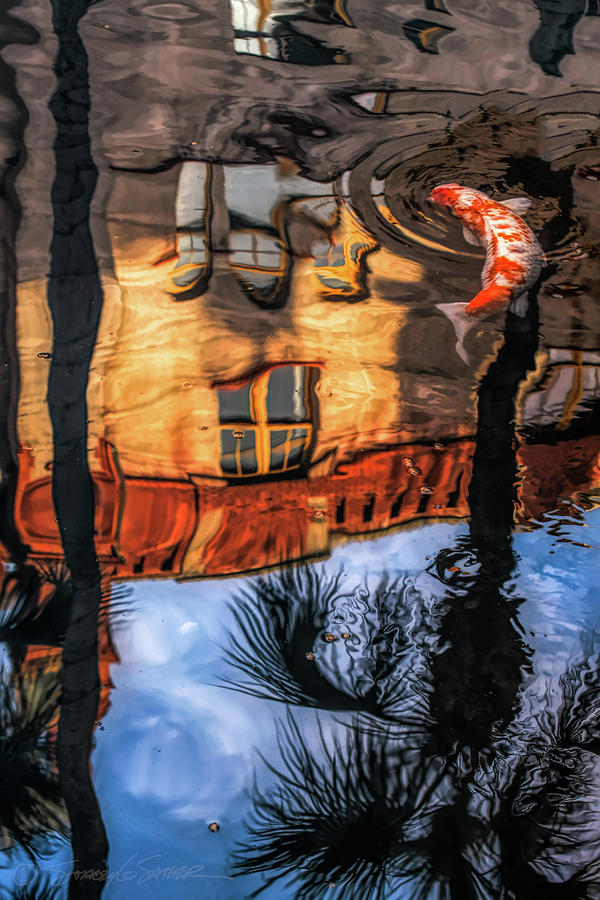 Lightner Koi Pond reflection I by Stacey Sather Lightner Koi Pond reflection I by Stacey Sather