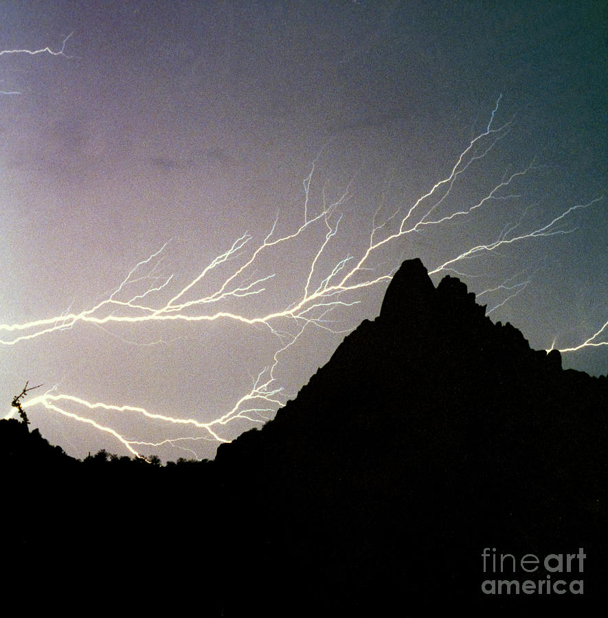 Lightning Branch Photograph by James BO Insogna