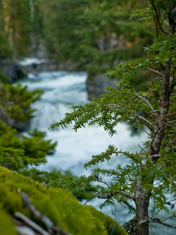 Lightning Creek Photograph By Corey Vogel Fine Art America